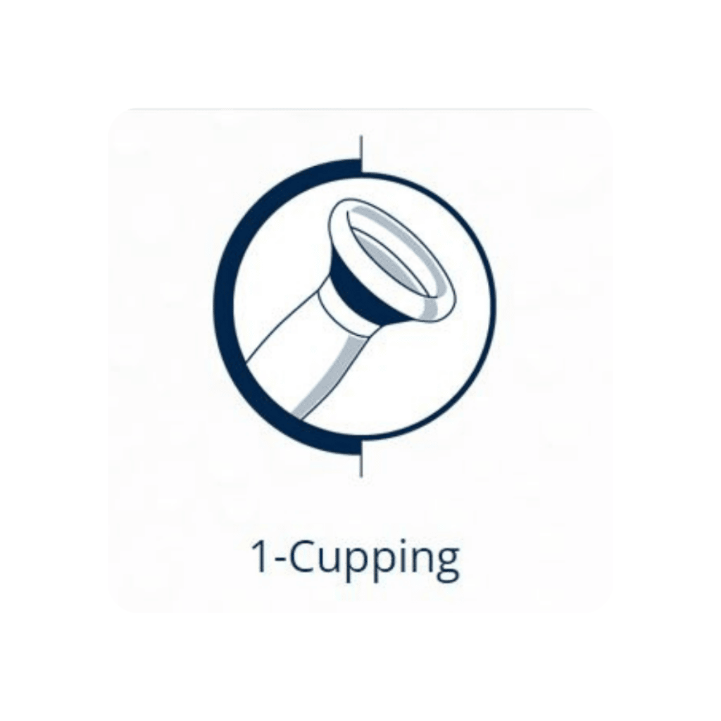 Cleopatra - cupping